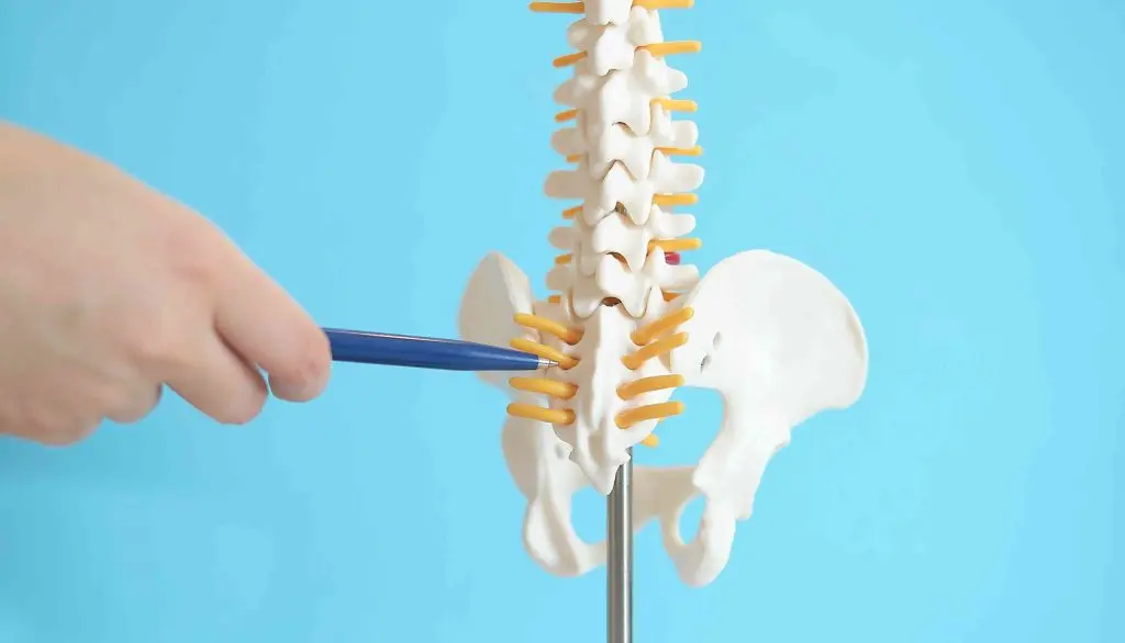 Soft Tissue Handling