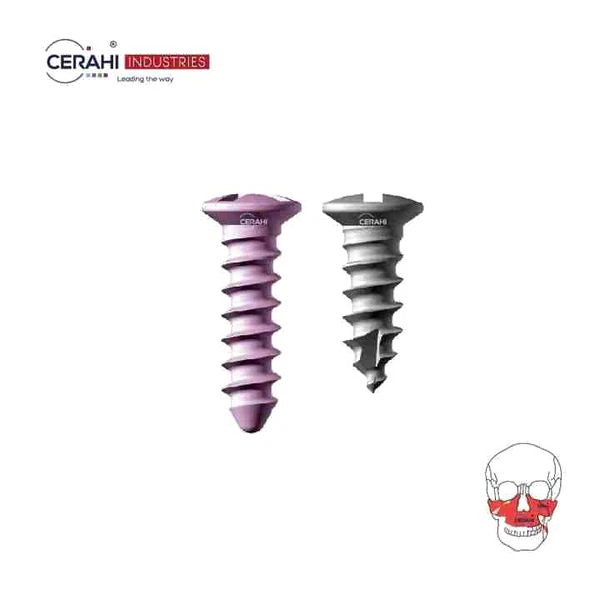 Screws and Plates